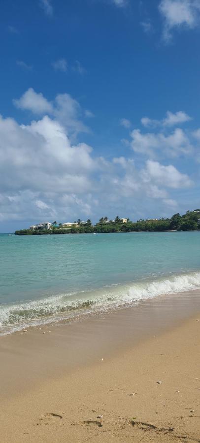 Breezy Nights St. Croix Apartment Christiansted Exterior photo